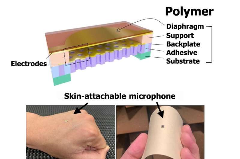 Auditory skin sensor